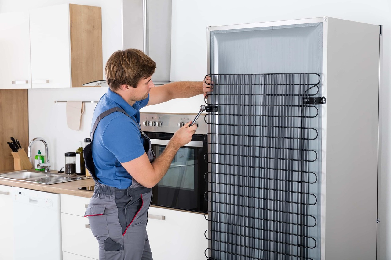 Refrigerator Problems Repair Service